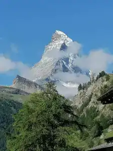 Petit Helvetia Budget - 13