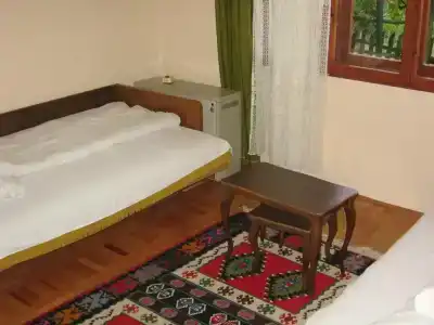 Guest house Pribojska Banja - 28