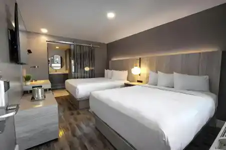 Oasis at Gold Spike - Adults Only - 29