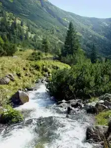 Усадьба Карпатия - 1