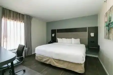 Comfort Inn 290/Nw - 61