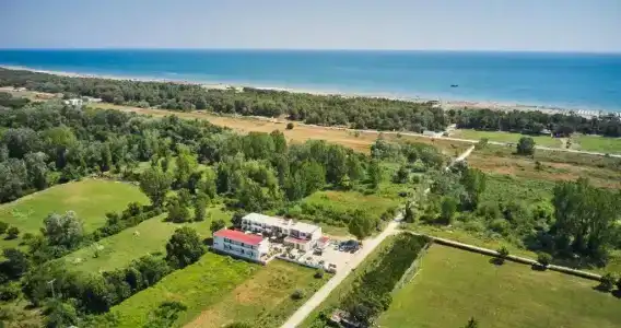 Halibas - 6