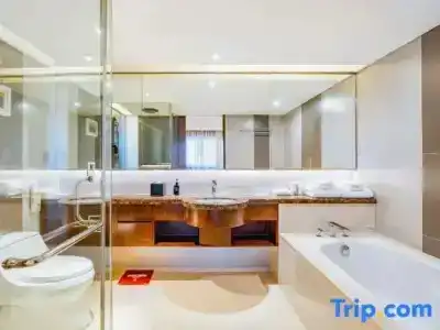 Grand Skylight Catic - 97
