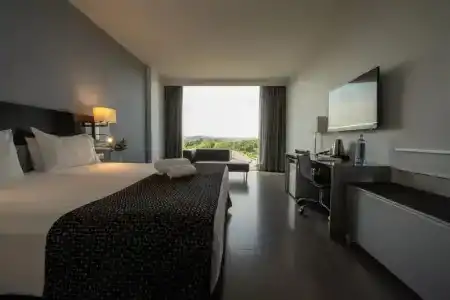 Eurostars Palace - 42