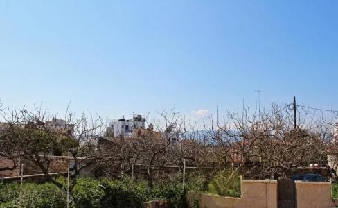 Aegina - 106