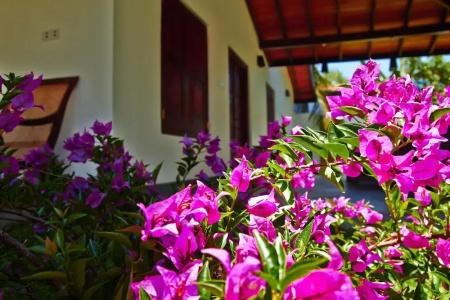 Villa Tangalle Lagoon - 100