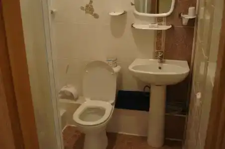 Железняки - 6