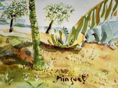 Savana - 70