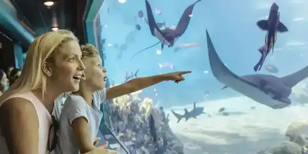 Sea World - 74