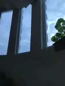 sesili - 0