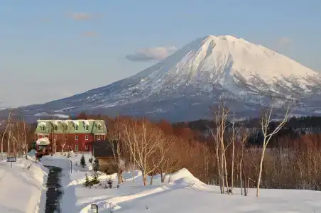 Niseko Freedom Inn - 8