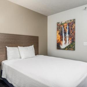 St. George Inn and Suites - 40