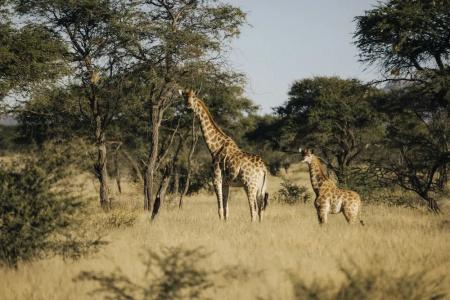 Habitas Namibia - 19