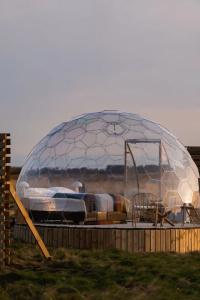 Aurora Igloo - 45