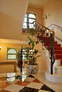 La Quinta de los Cedros - 12