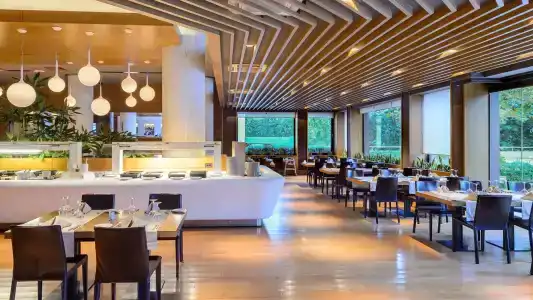 Alexander Beach & Spa - 24