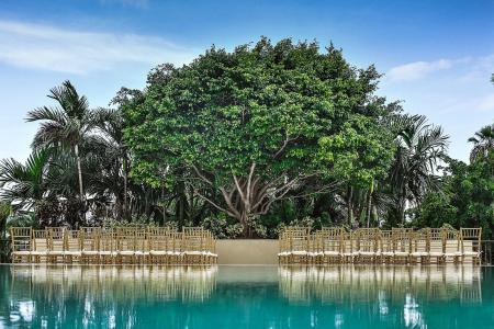 Courtyard Miami Coconut Grove - 14