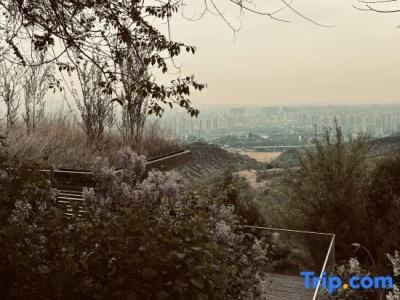 Tigerlily - 73