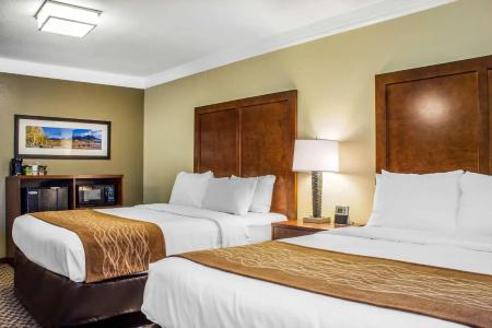 Comfort Inn & Suites - 79