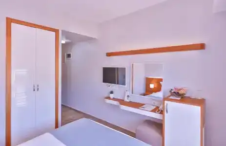 Olea Nova - 39
