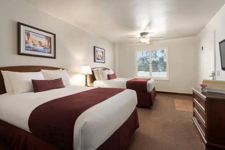 Palm Mountain & Spa - 78