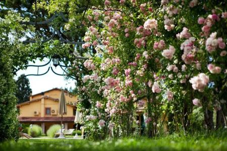 Resort e Spa San Crispino - 46
