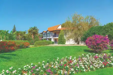 Starlight Resort - 19