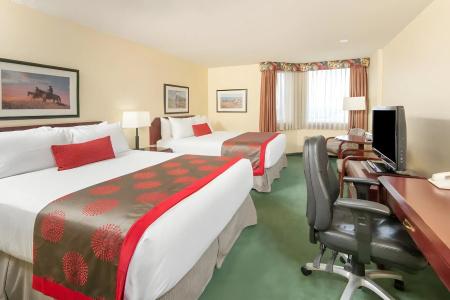Ramada Plaza Airport and Conference Centre - 30
