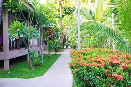 Lamai Inn 99 Bungalows - 235