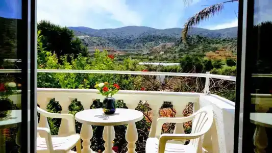 Ibiscus Malia - 44