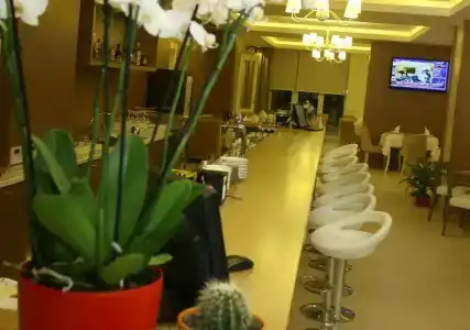 Palace & Spa - 31