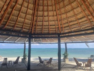 PavoReal Beach - 21