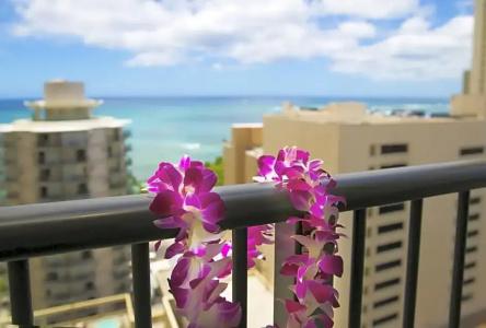 Waikiki Resort - 39