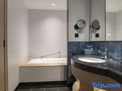 Four Points by Sheraton Shenzhen - 126