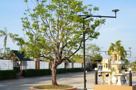 Green Terrace Resort - 91