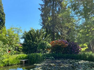 Pension Gelpkes Mühle - 43