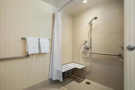 Sheraton Carlsbad Resort & Spa - 73