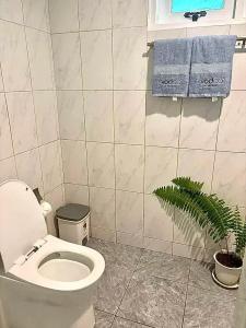 Banyan House Samui bed and breakfast (Adult Only) - 57