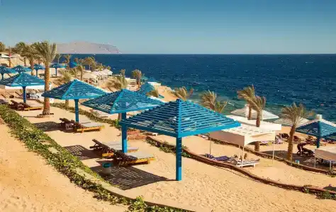 Grand Oasis Resort - 19
