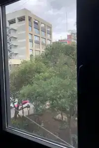 Flamencos - 17