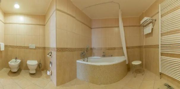 Ensana Centrální Lázně - Maria Spa - 85