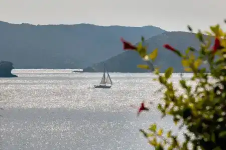 Sea View Studios - 98
