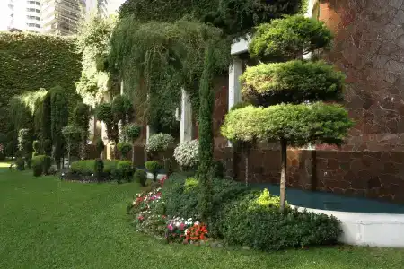 Emperador Buenos Aires - 21