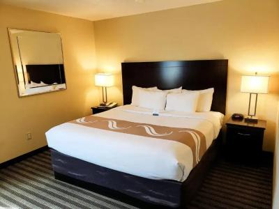 Quality Inn & Suites Vancouver - 65