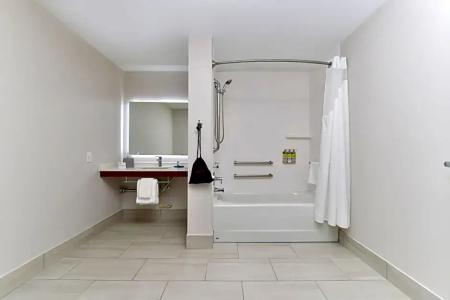 Holiday Inn Express Orlando - South Park, An Ihg - 110