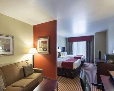 Comfort Suites Medical Center Near Six Flags - 33