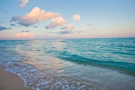 Holiday Inn Miami Beach-Oceanfront, an IHG - 42