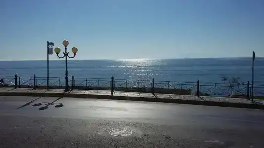 Queens Leriotis - 13