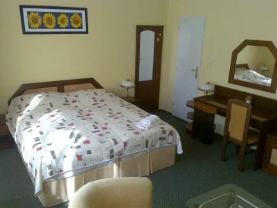 Jana / Pension Domov Mládeže - 1