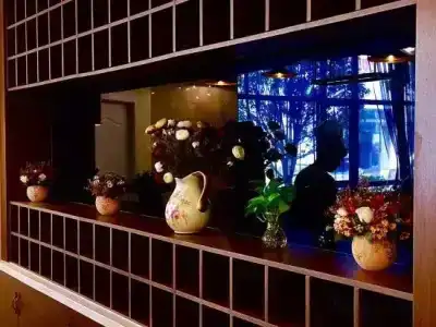 Linzhen - 6